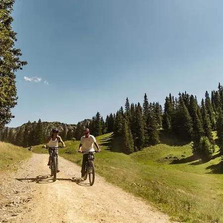 Rhododendrons Rd507 Center & View 6 Pers Châtel