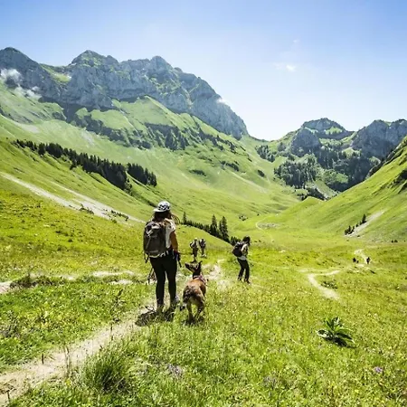 Rhododendrons Rd507 Center & View 6 Pers *