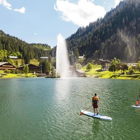 Rhododendrons Rd507 Center & View 6 Pers Châtel