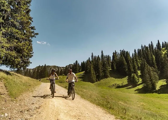 Rhododendrons Rd507 Center & View 6 Pers Châtel